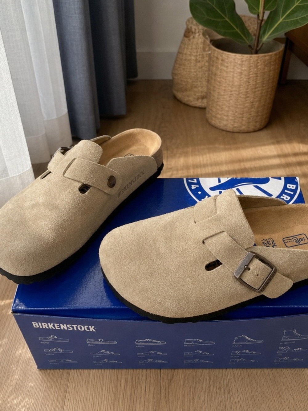 Birkenstock women's Boston Clog in Sand Suede with Metal Buckle - Picture 2 of 4